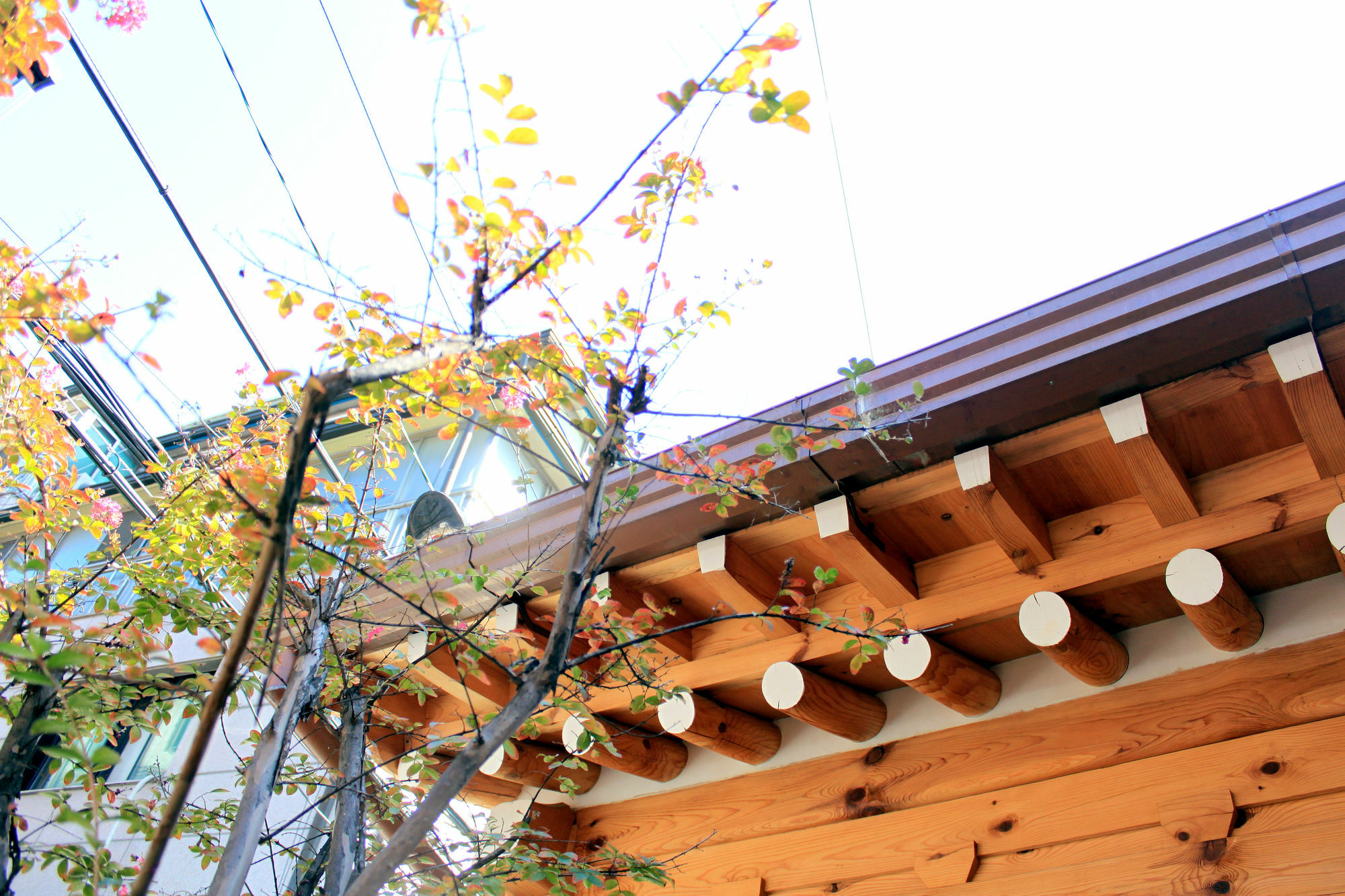 Hanok 24 Guesthouse Gyeongbokgung Seoul Exterior photo